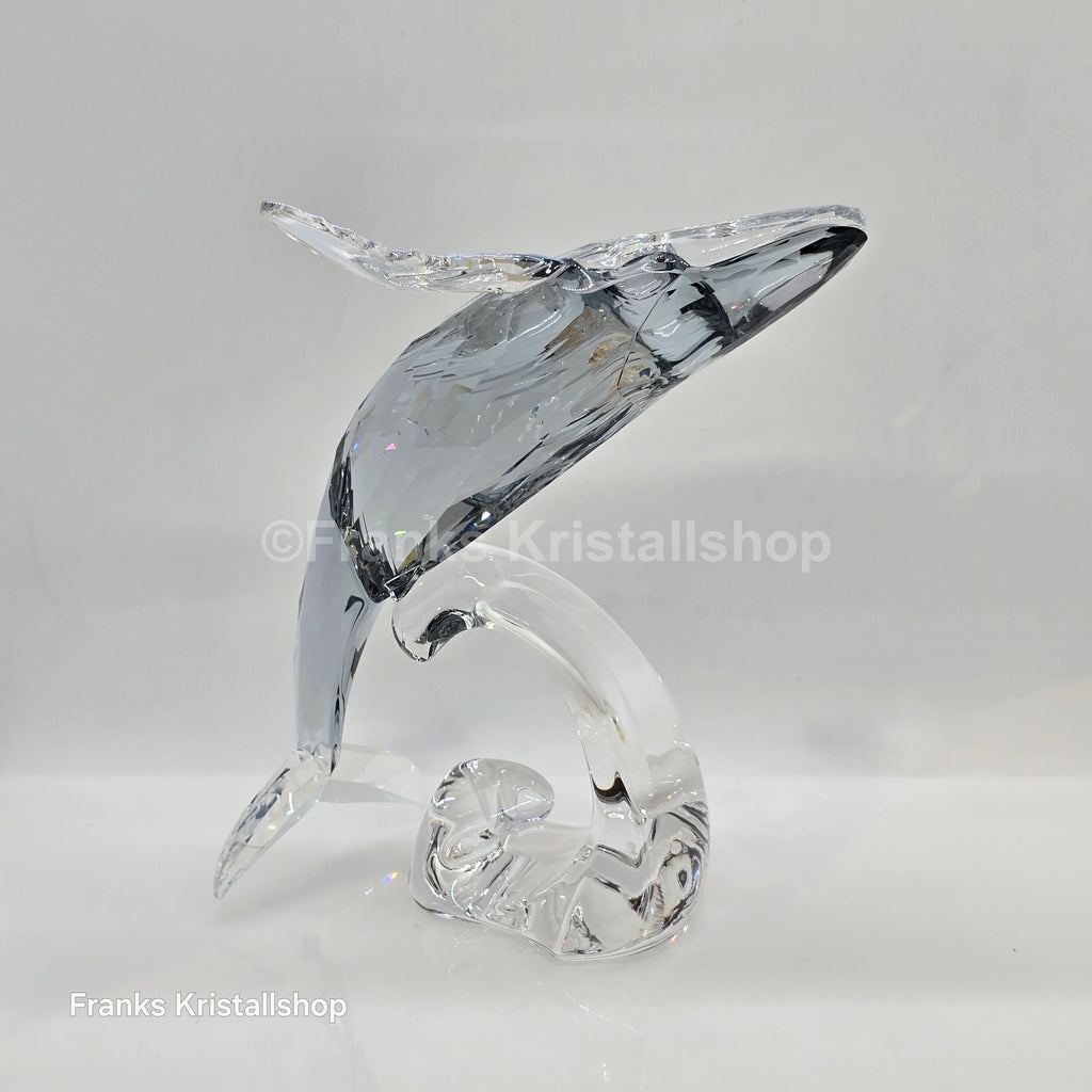 SWAROVSKI SCS Jahresfigur 2012 Wal Paikea 1095228 oU