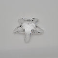 SWAROVSKI SCS Seestern 679350