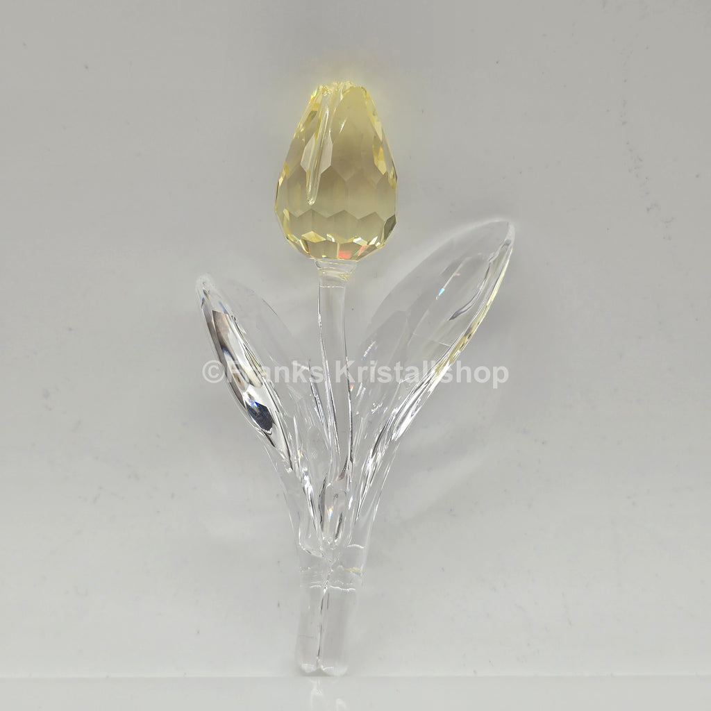 SWAROVSKI SCS Tulpe Gelb mit kleinen Tulpen 606568 + 606546R