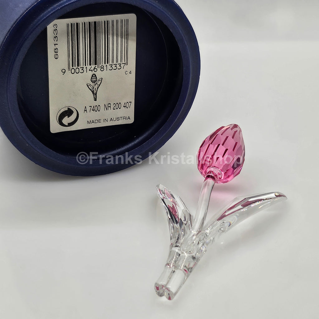SWAROVSKI SCS Tulpe Rosa 681333