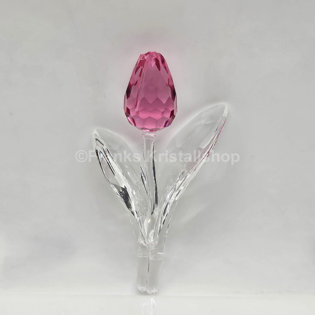 SWAROVSKI SCS Tulpe Rosa 681333