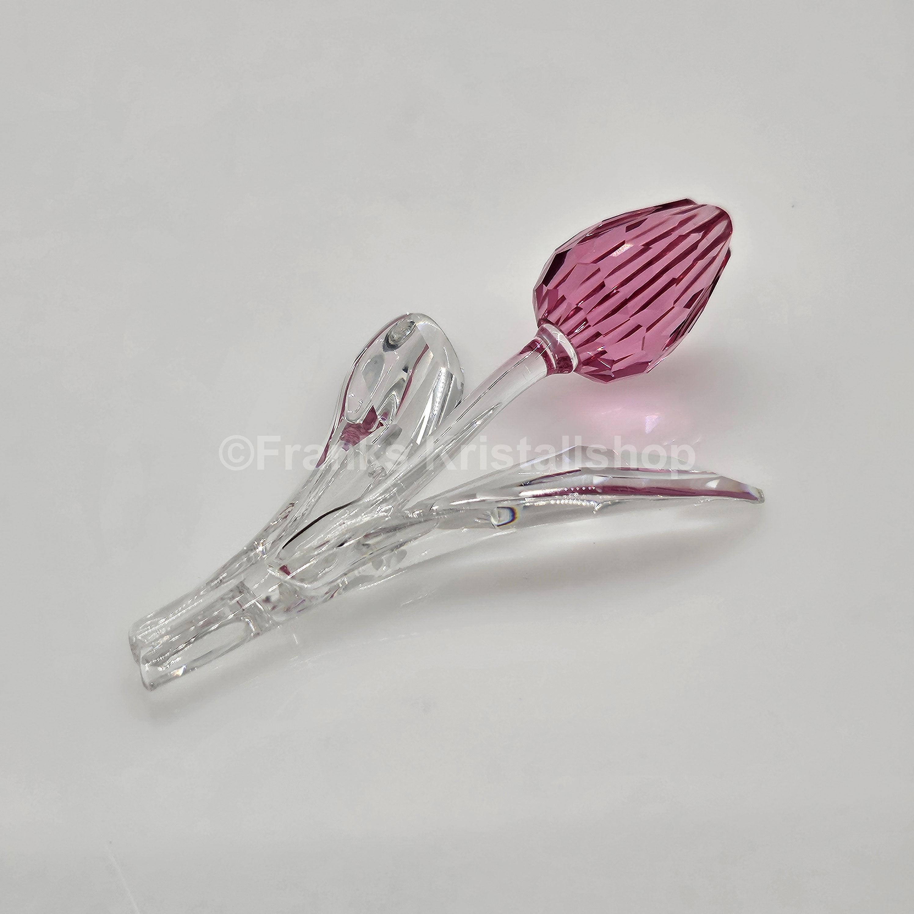 SWAROVSKI SCS Tulpe Rosa 681333