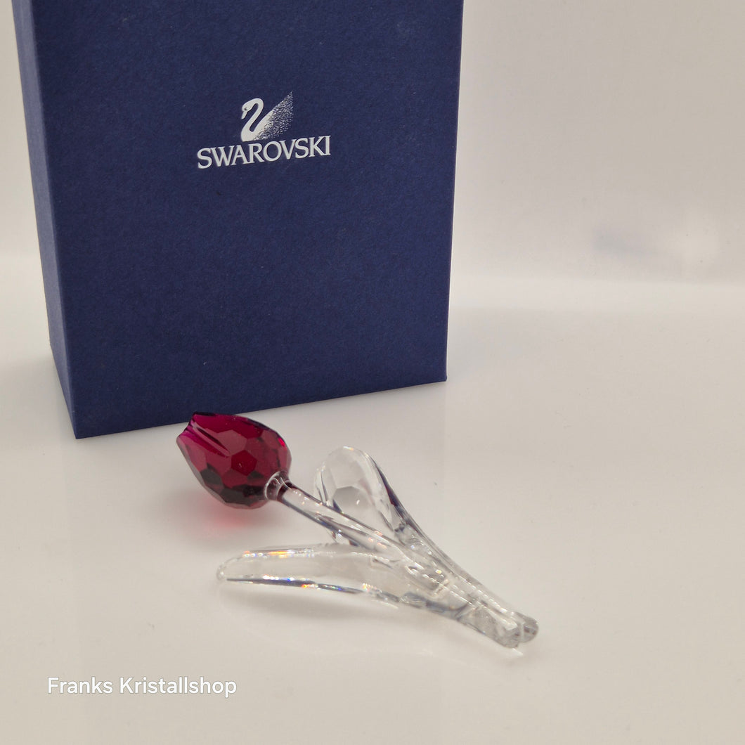 SWAROVSKI SCS Tulpe Rot 626481