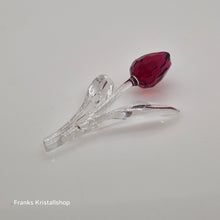 Lade das Bild in den Galerie-Viewer, SWAROVSKI SCS Tulpe Rot 626481
