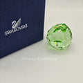 SWAROVSKI SCS Water Project 2008 Briefbeschwerer 967003