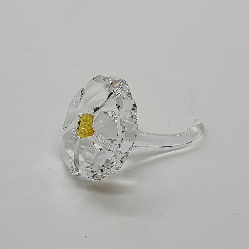 SWAROVSKI SCS Wildblume Mudiwa Event 5244642
