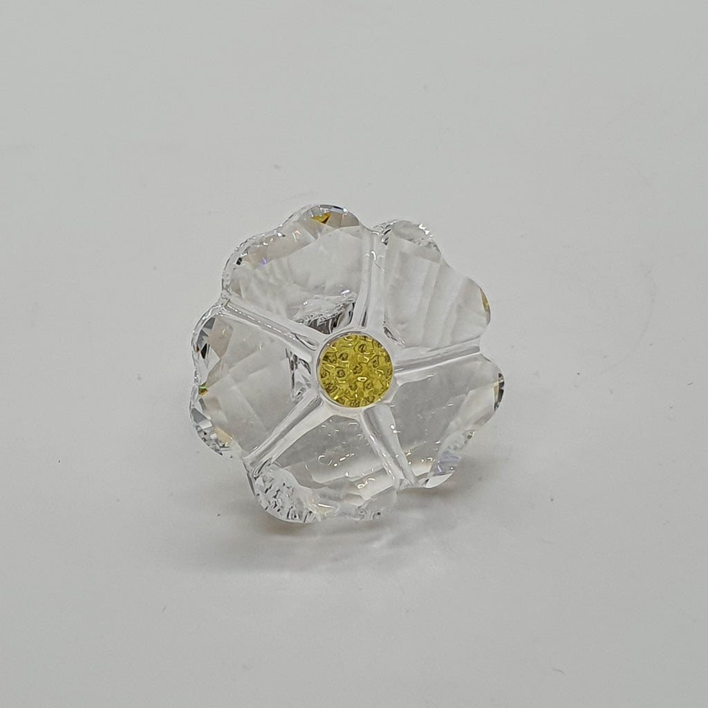 SWAROVSKI SCS Wildblume Mudiwa Event 5244642