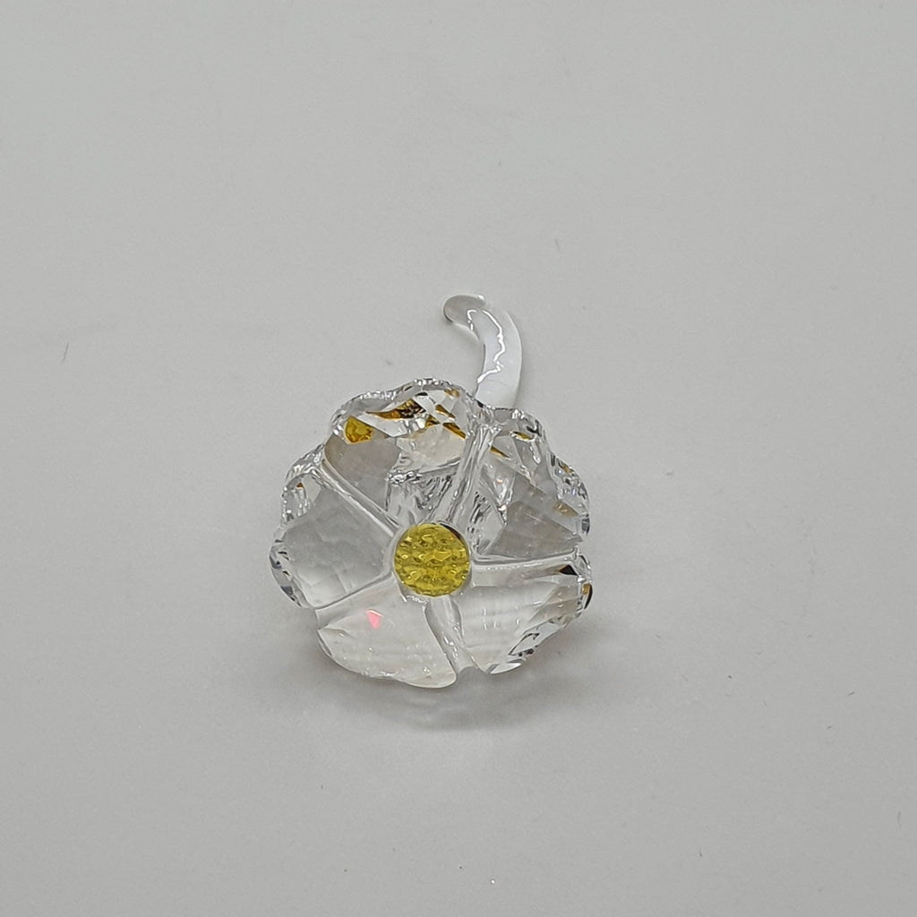 SWAROVSKI SCS Wildblume Mudiwa Event 5244642