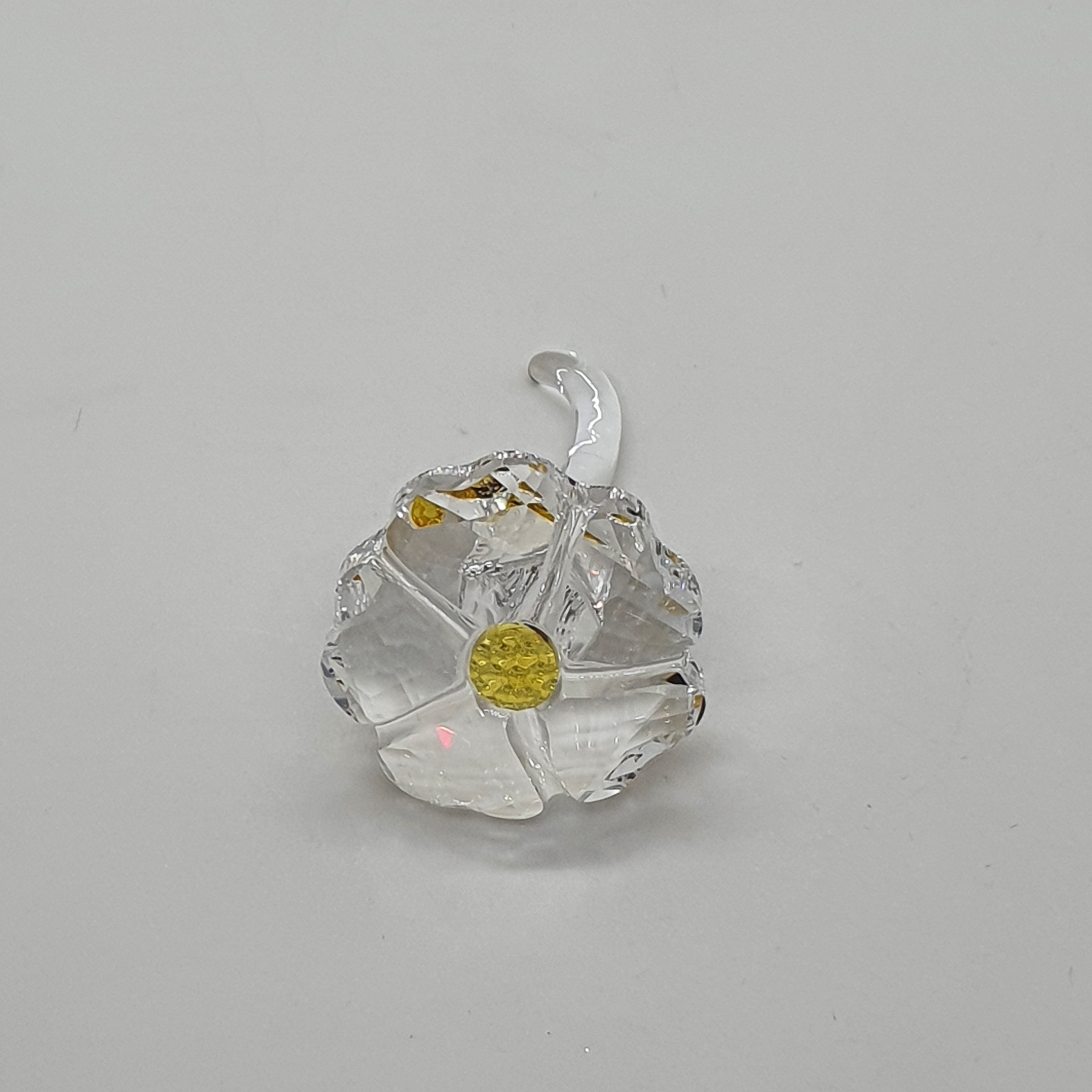 SWAROVSKI SCS Wildblume Mudiwa Event 5244642