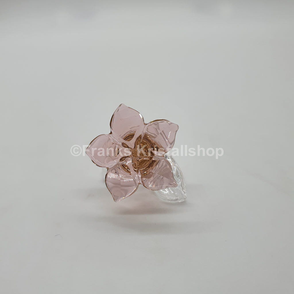 SWAROVSKI SCS Wüstenrose 2021 Desert Rose 5557914