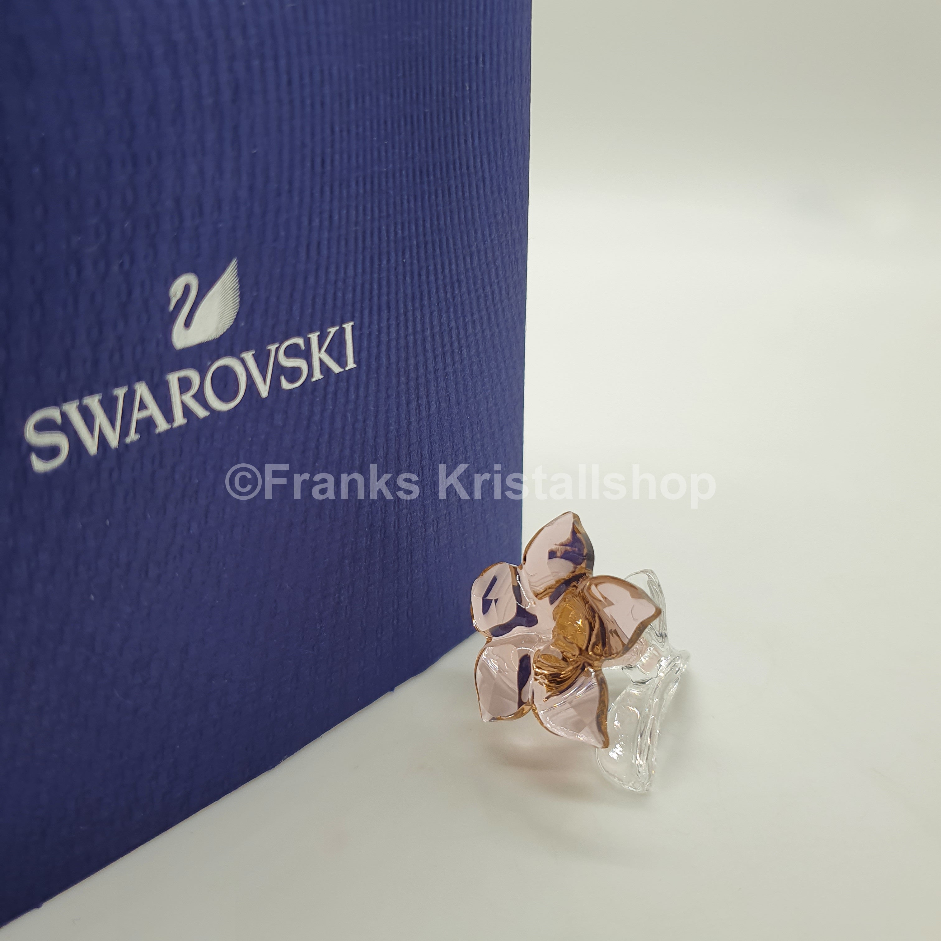 SWAROVSKI SCS Wüstenrose 2021 Desert Rose 5557914