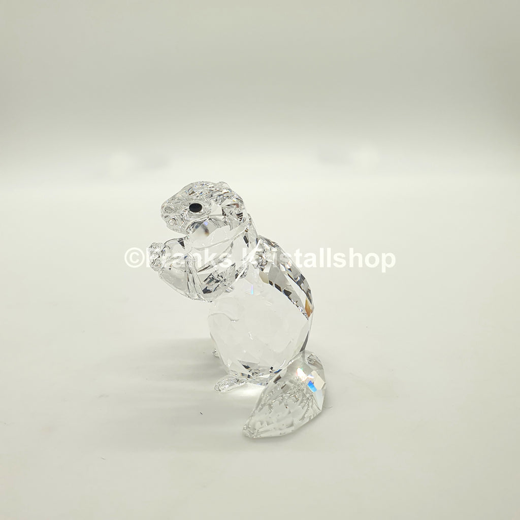SWAROVSKI SCS Murmeltier Eventfigur 2020 5493709