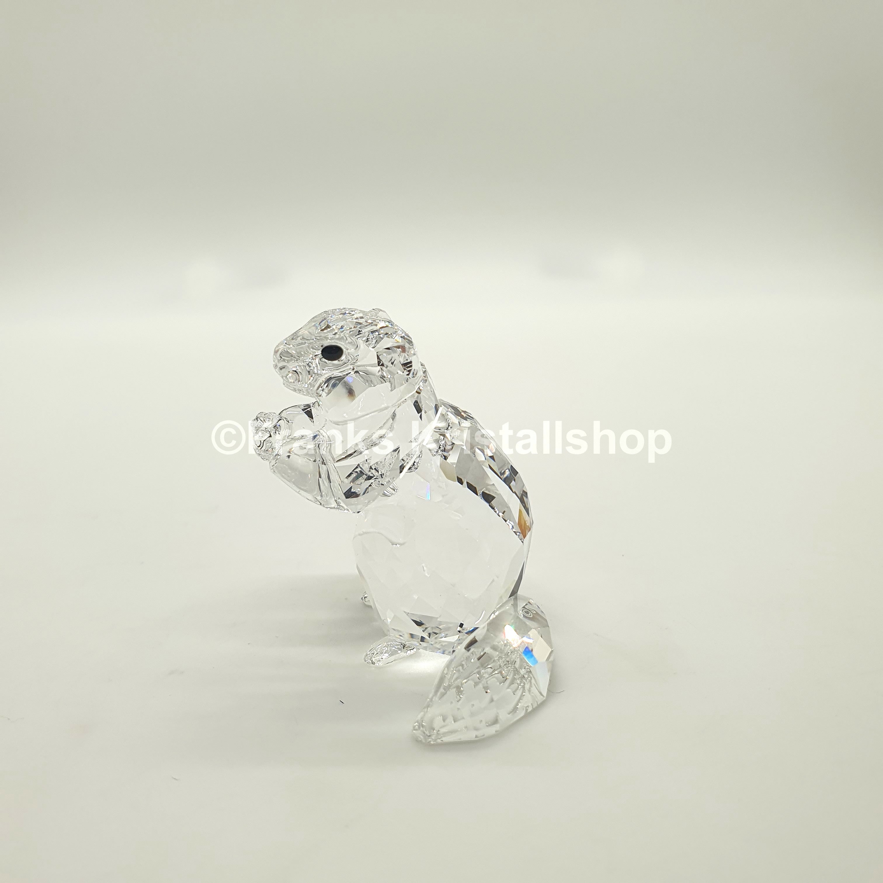 SWAROVSKI SCS Murmeltier Eventfigur 2020 5493709