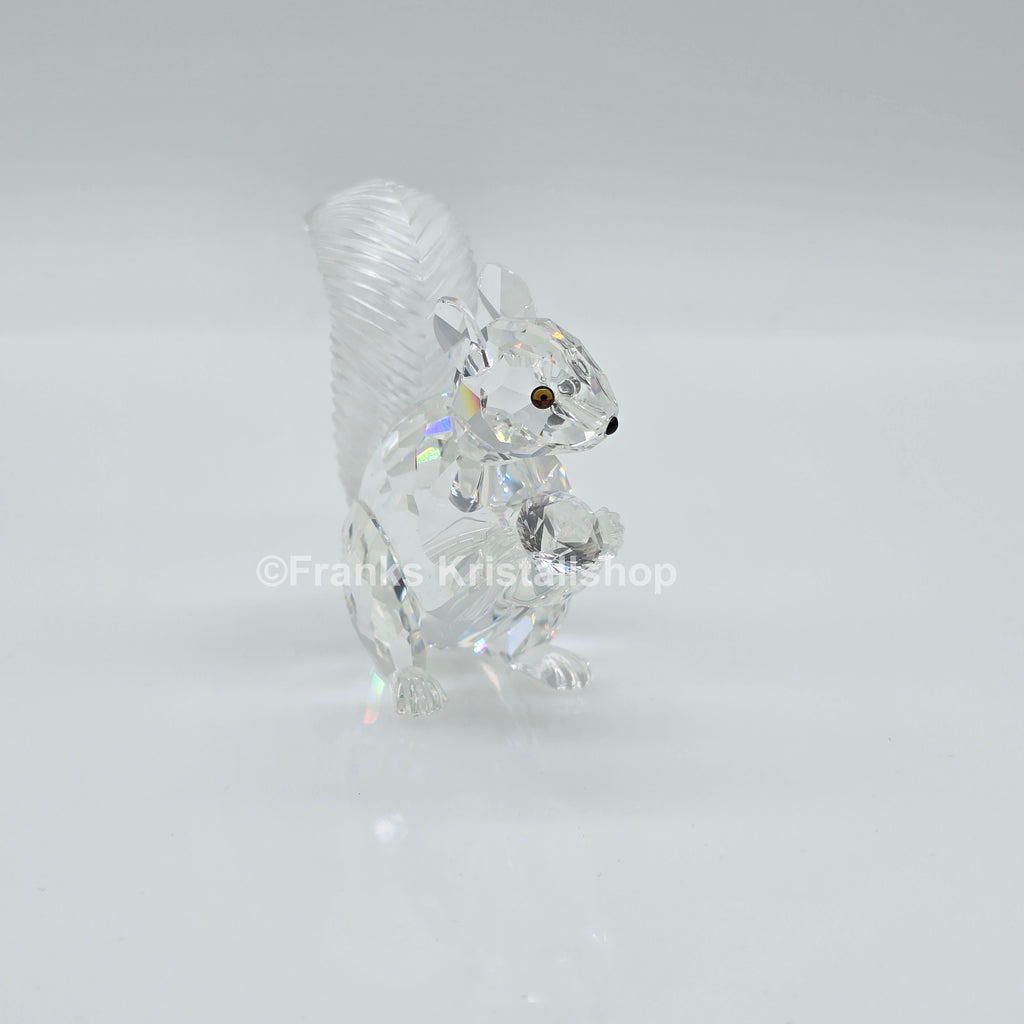 SWAROVSKI SCS Eichhörnchen 10 Jahre Sammlerclub 208433