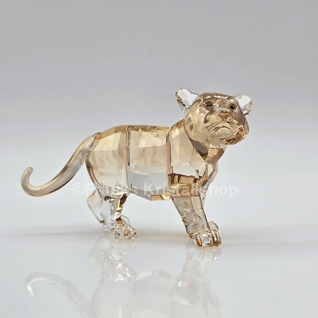 SWAROVSKI SCS Junger Tiger 2010 stehend 1016677