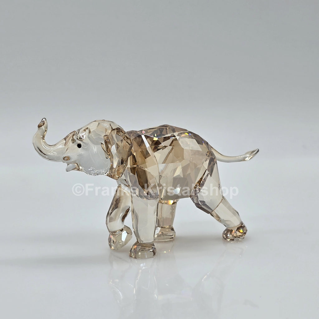 SWAROVSKI SCS Jahresfigur 2013 Elefantenbaby Cinta 1142862