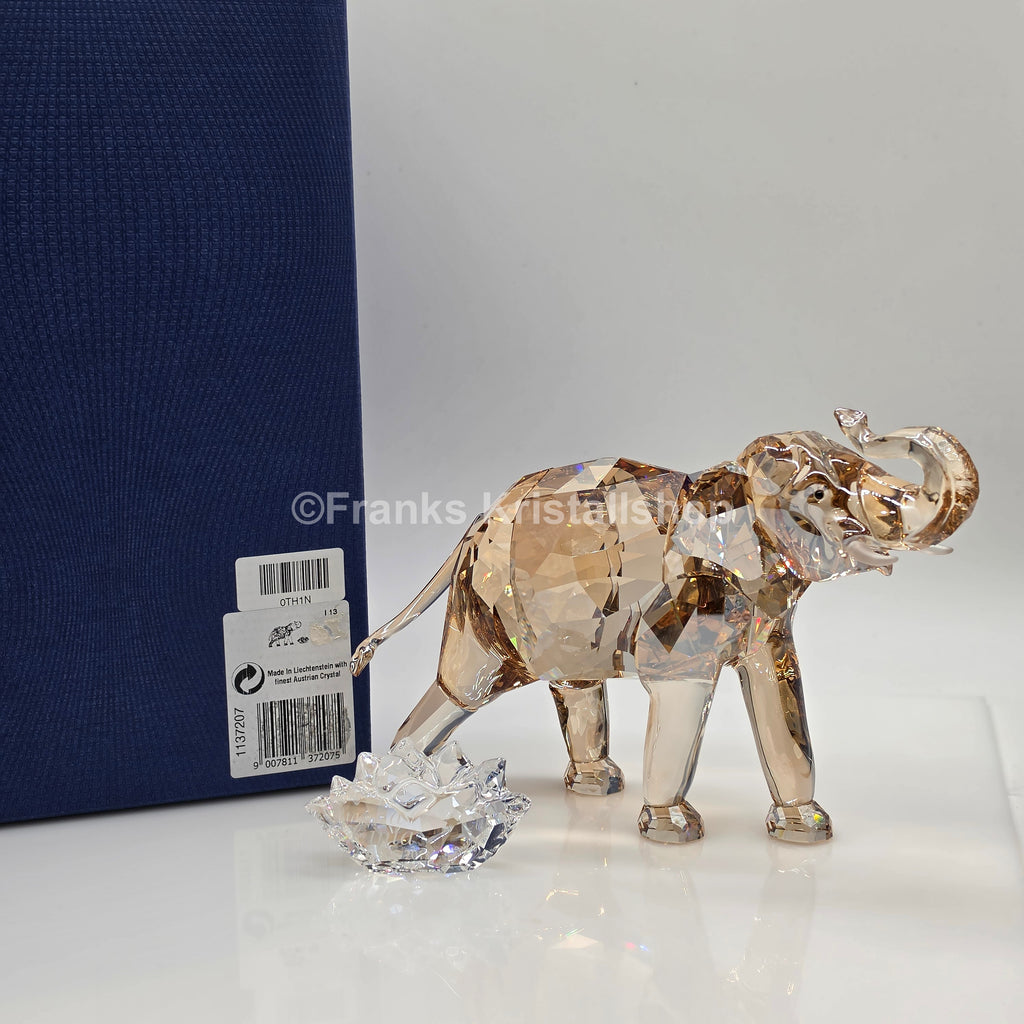 SWAROVSKI SCS Jahresfigur 2013 Elefant Cinta 1137207