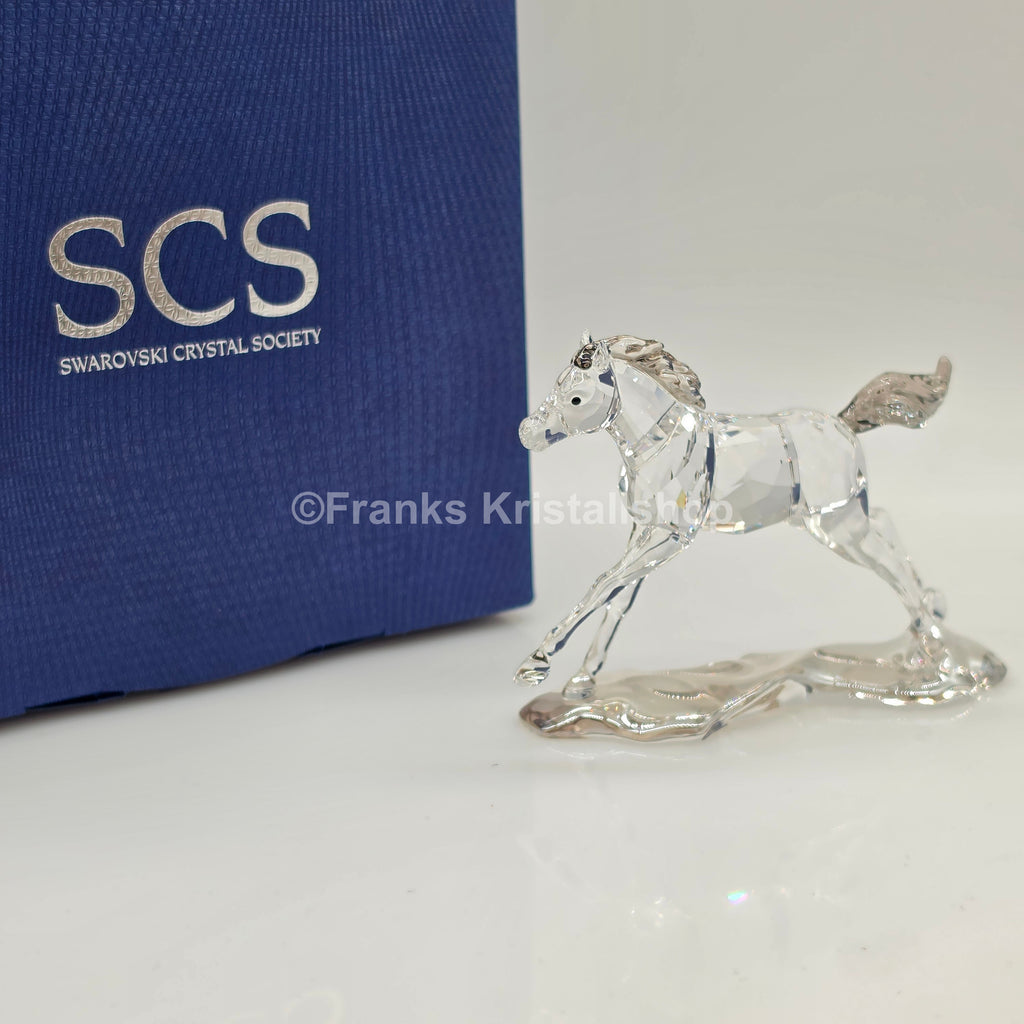 SWAROVSKI SCS Jahresfigur 2014 Esperanza Fohlen 5004729