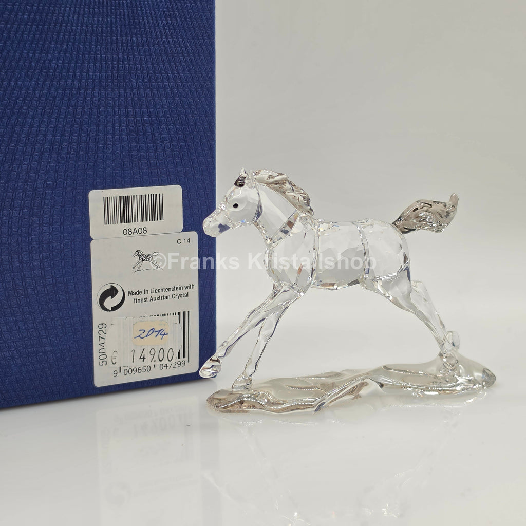 SWAROVSKI SCS Jahresfigur 2014 Esperanza Fohlen 5004729
