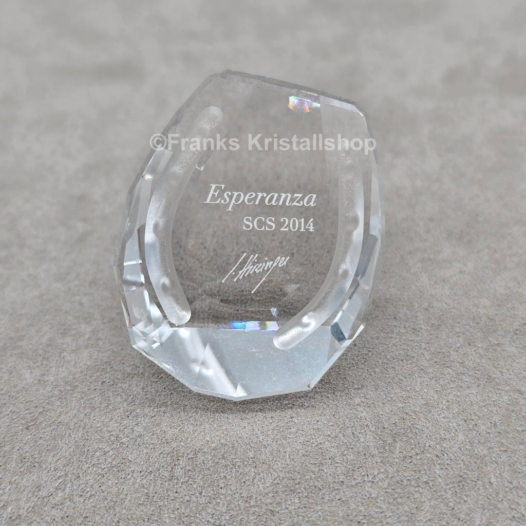 SWAROVSKI SCS Jahresfigur 2014 Esperanza mit Namensschild 5004728 oU