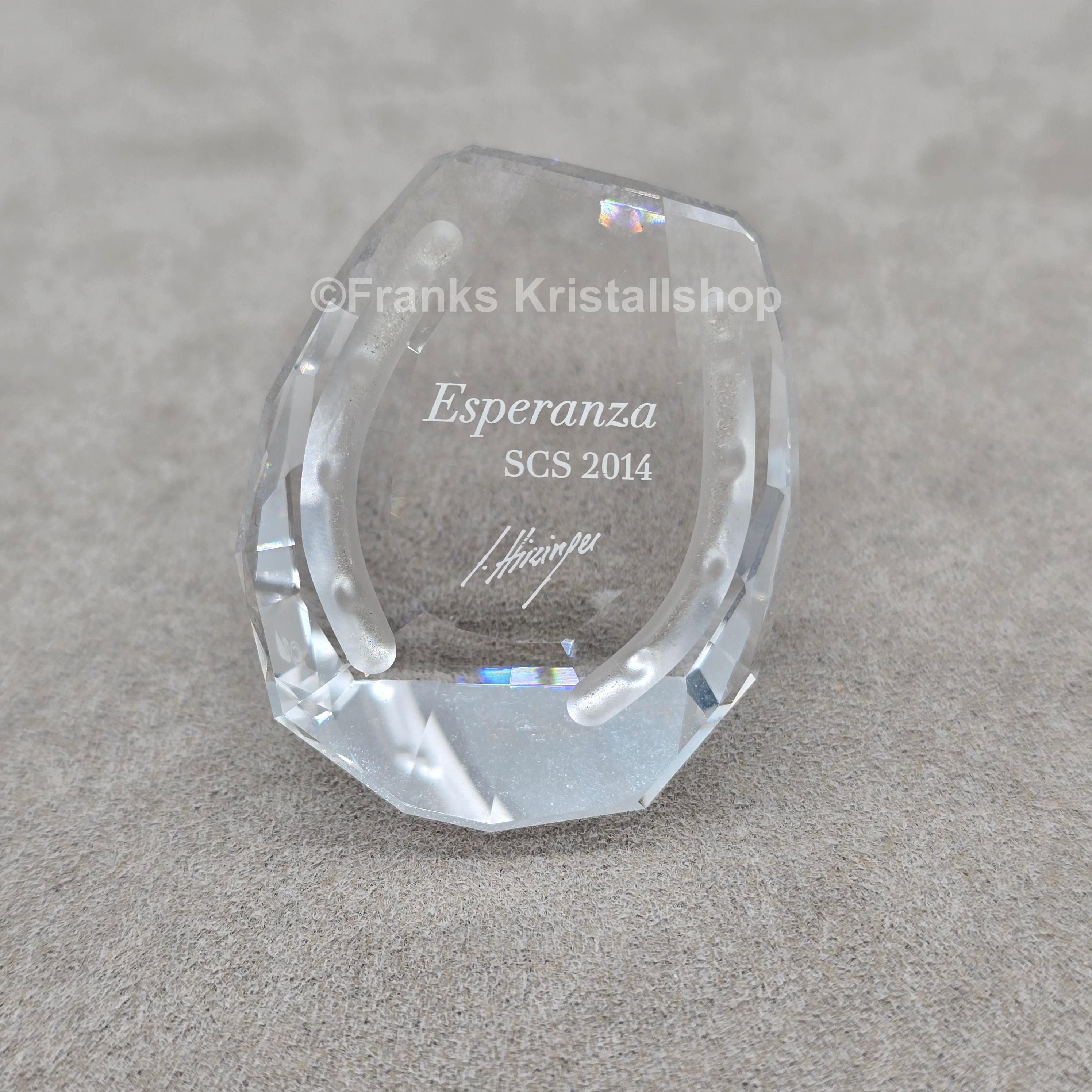 SWAROVSKI SCS Jahresfigur 2014 Esperanza mit Namensschild 5004728 oU