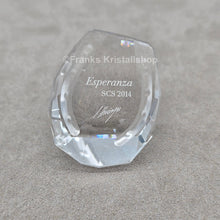 Lade das Bild in den Galerie-Viewer, SWAROVSKI SCS Jahresfigur 2014 Esperanza mit Namensschild 5004728 oU
