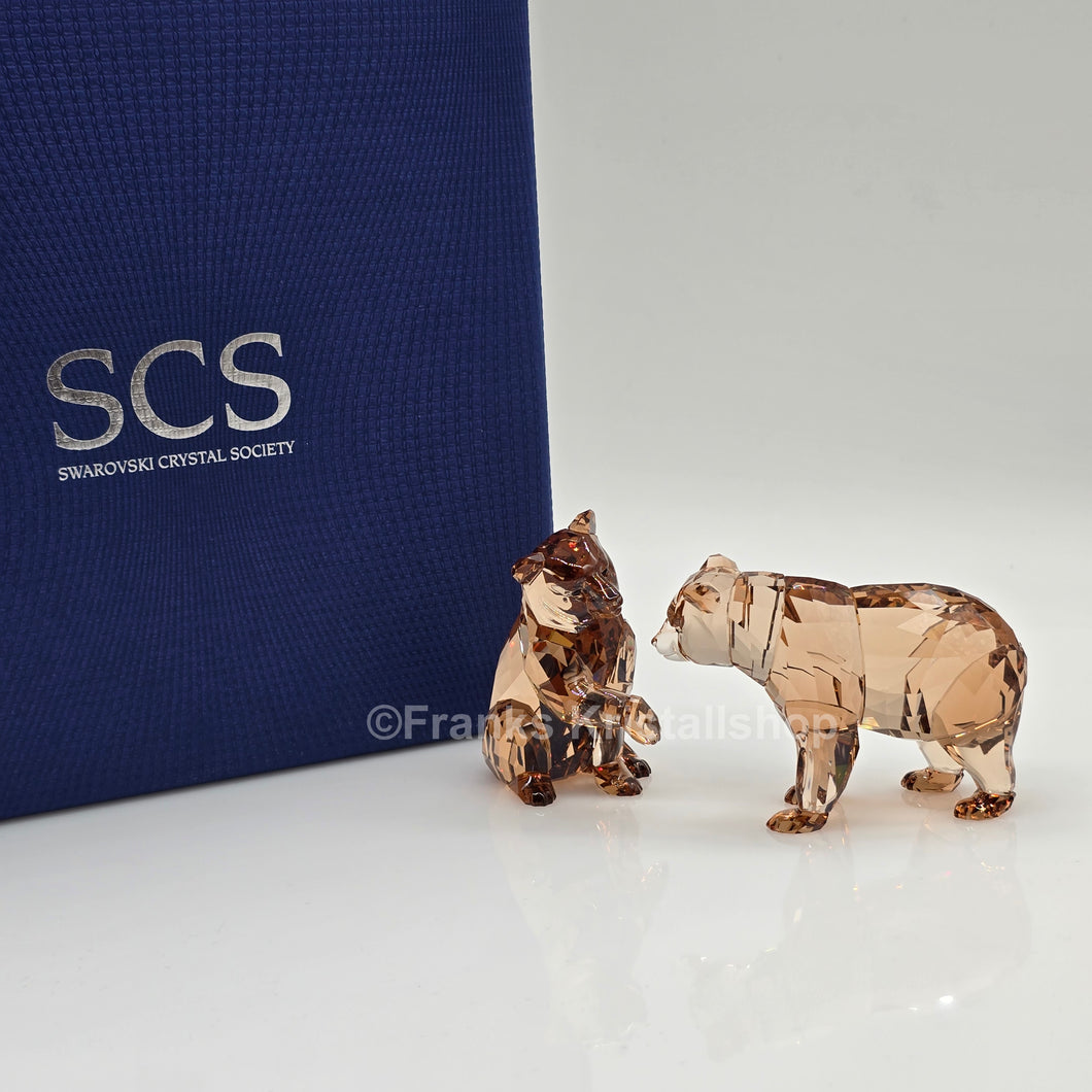 SWAROVSKI SCS Jahresfigur 2017 Bärenjungen Arcadia 5236593 oU