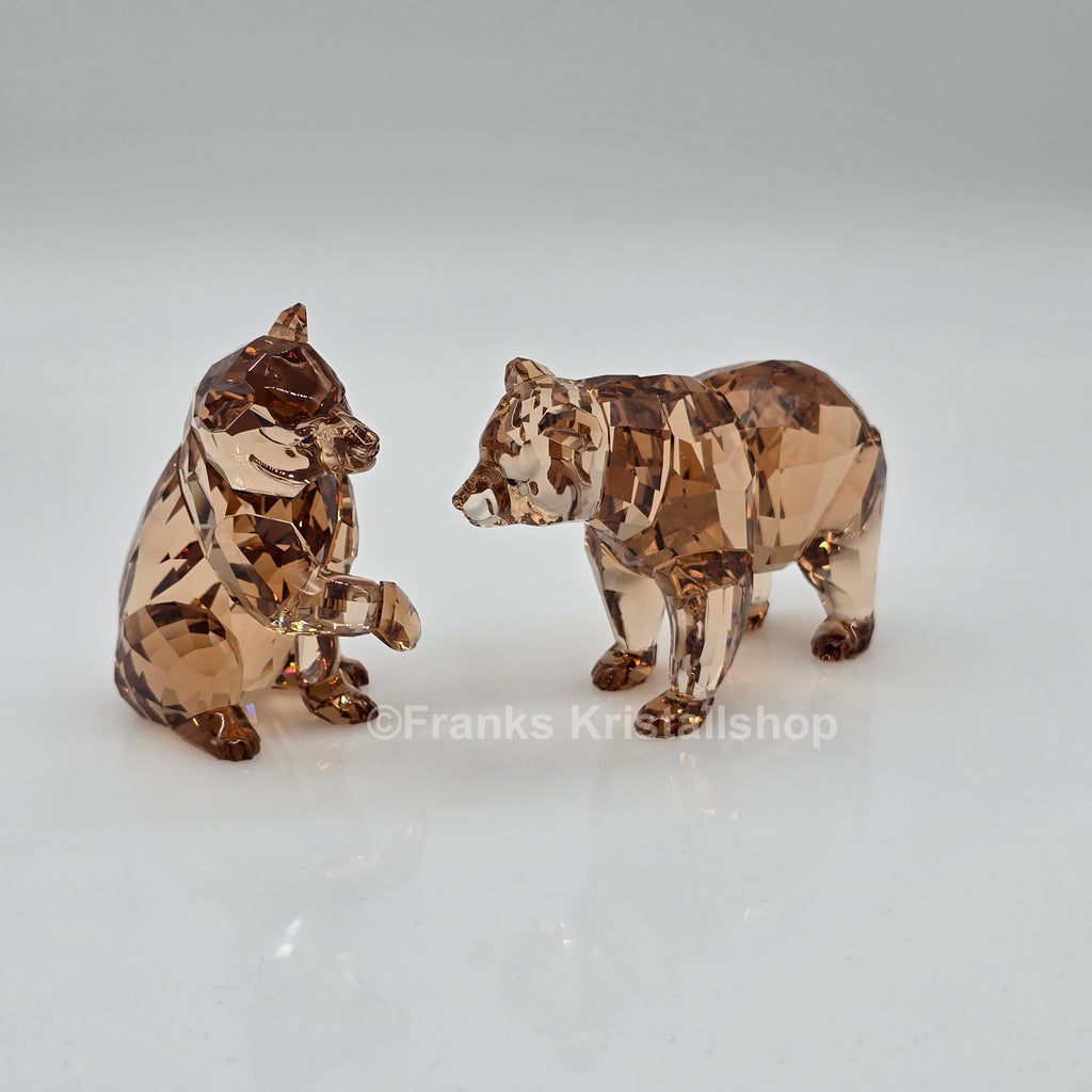 SWAROVSKI SCS Jahresfigur 2017 Bärenjungen Arcadia 5236593 oU