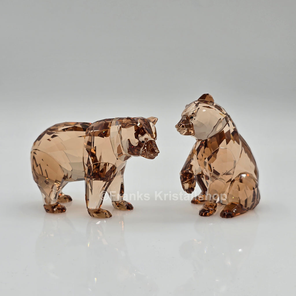 SWAROVSKI SCS Jahresfigur 2017 Bärenjungen Arcadia 5236593 oU