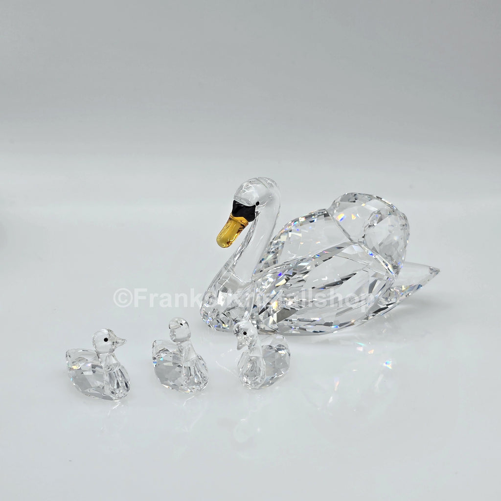 SWAROVSKI SCS Schwäne Jubiläumsausgabe 2017 5233542