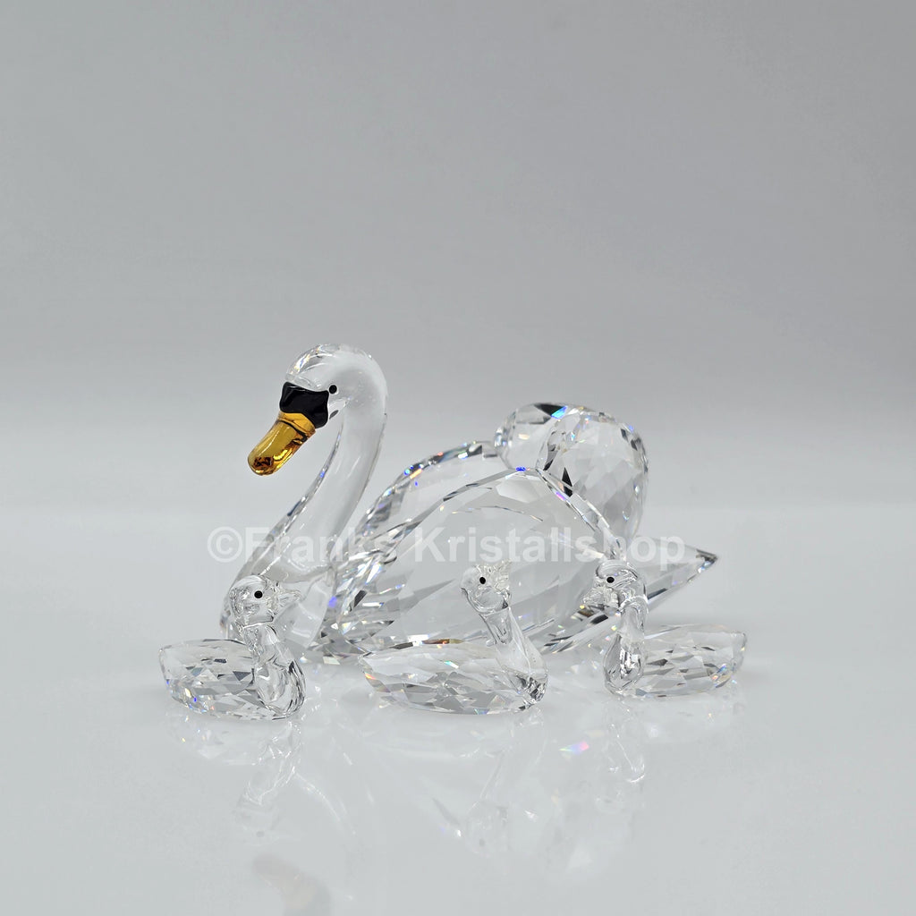 SWAROVSKI SCS Schwäne Jubiläumsausgabe 2017 5233542