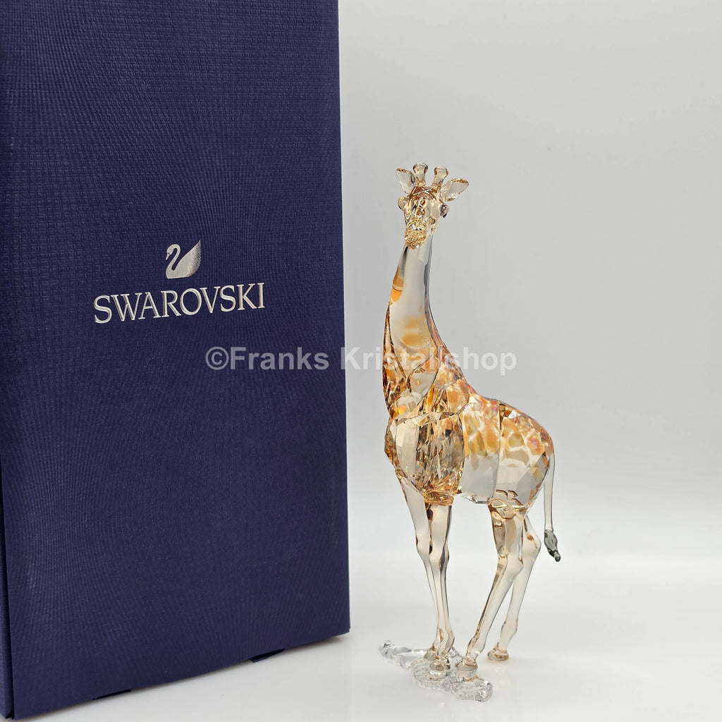 SWAROVSKI SCS Jahresfigur 2018 Giraffe Mudiwa 5301550