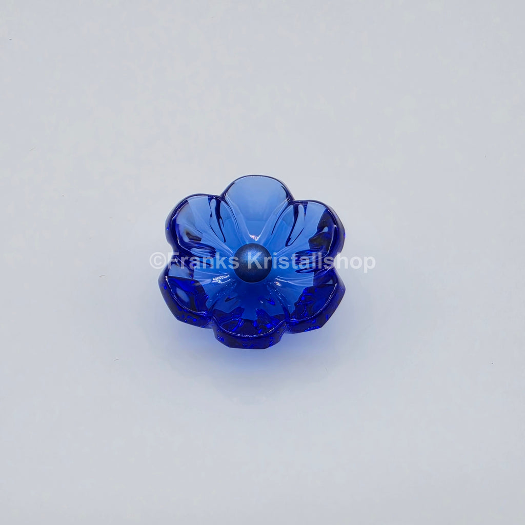 SWAROVSKI SCS Jahresfigur 2026 Idyllia Anemone 5719806