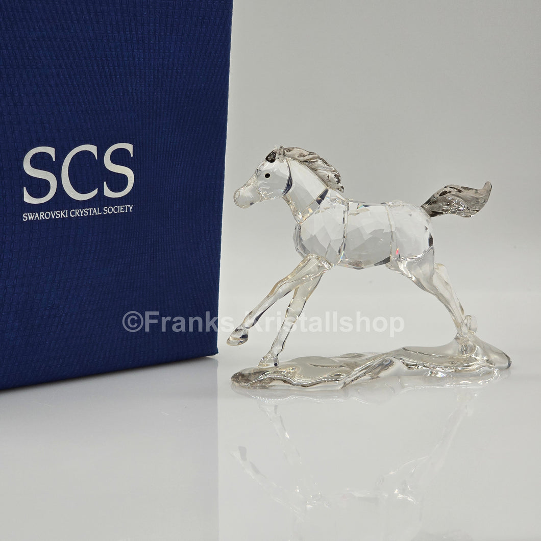 SWAROVSKI SCS Jahresfigur 2014 Esperanza Fohlen 5004729 oU