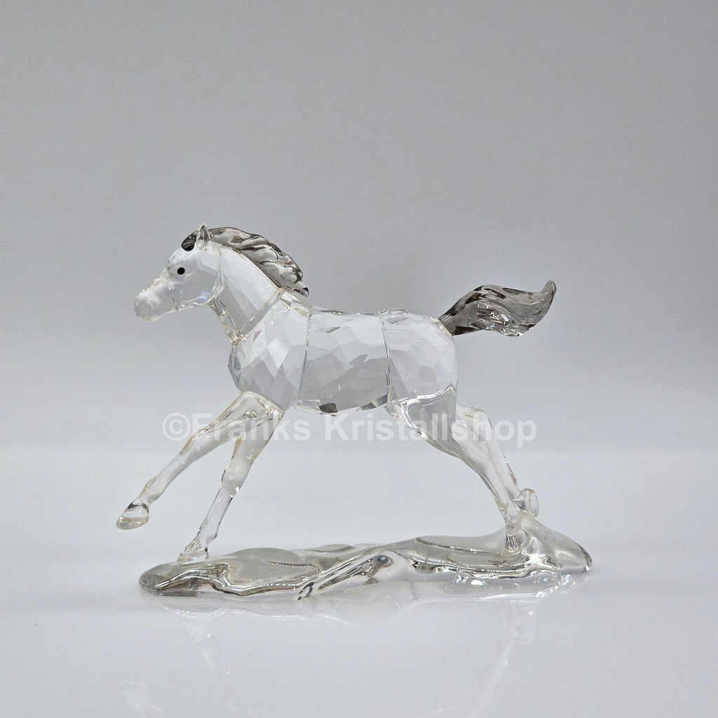 SWAROVSKI SCS Jahresfigur 2014 Esperanza Fohlen 5004729 oU