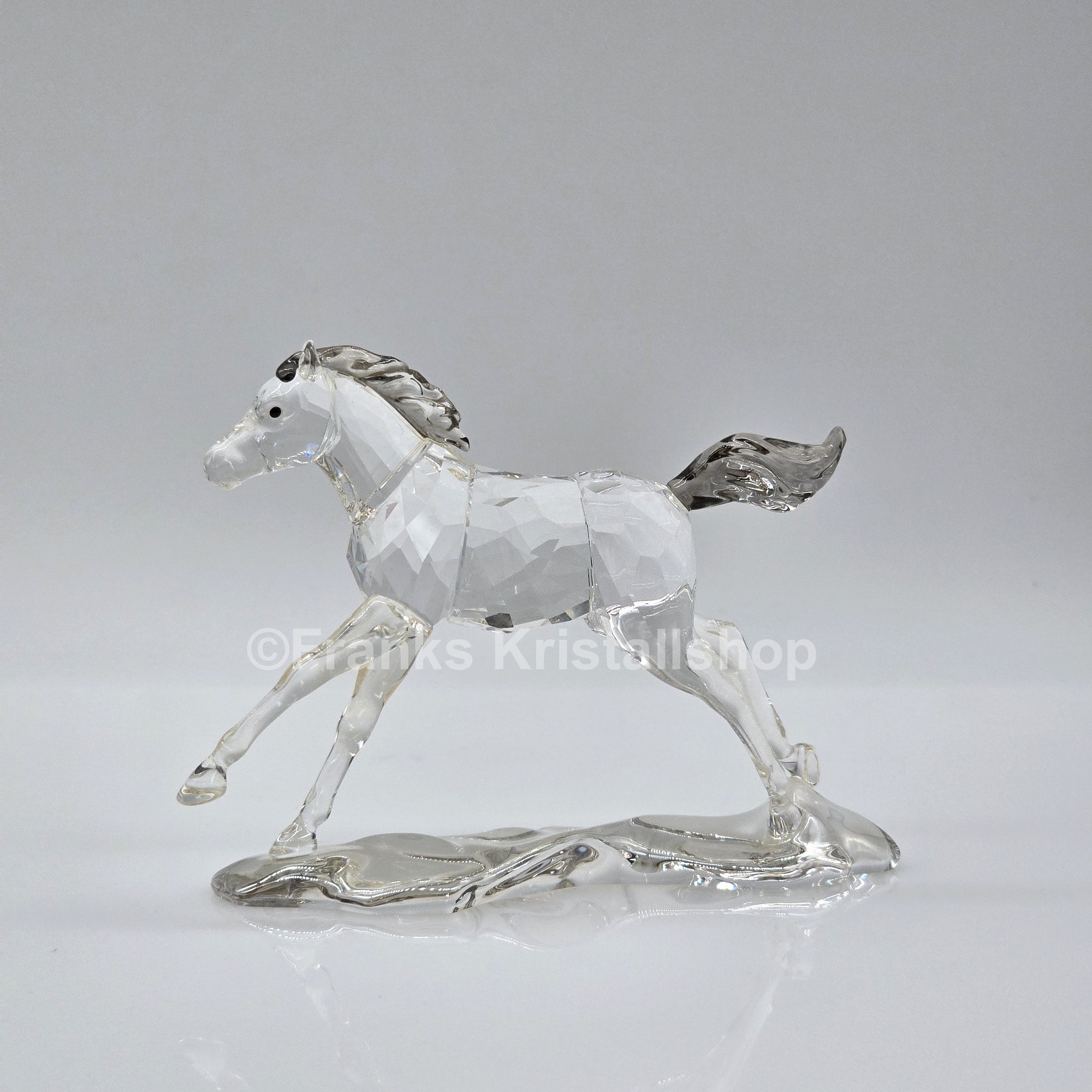 SWAROVSKI SCS Jahresfigur 2014 Esperanza Fohlen 5004729 oU