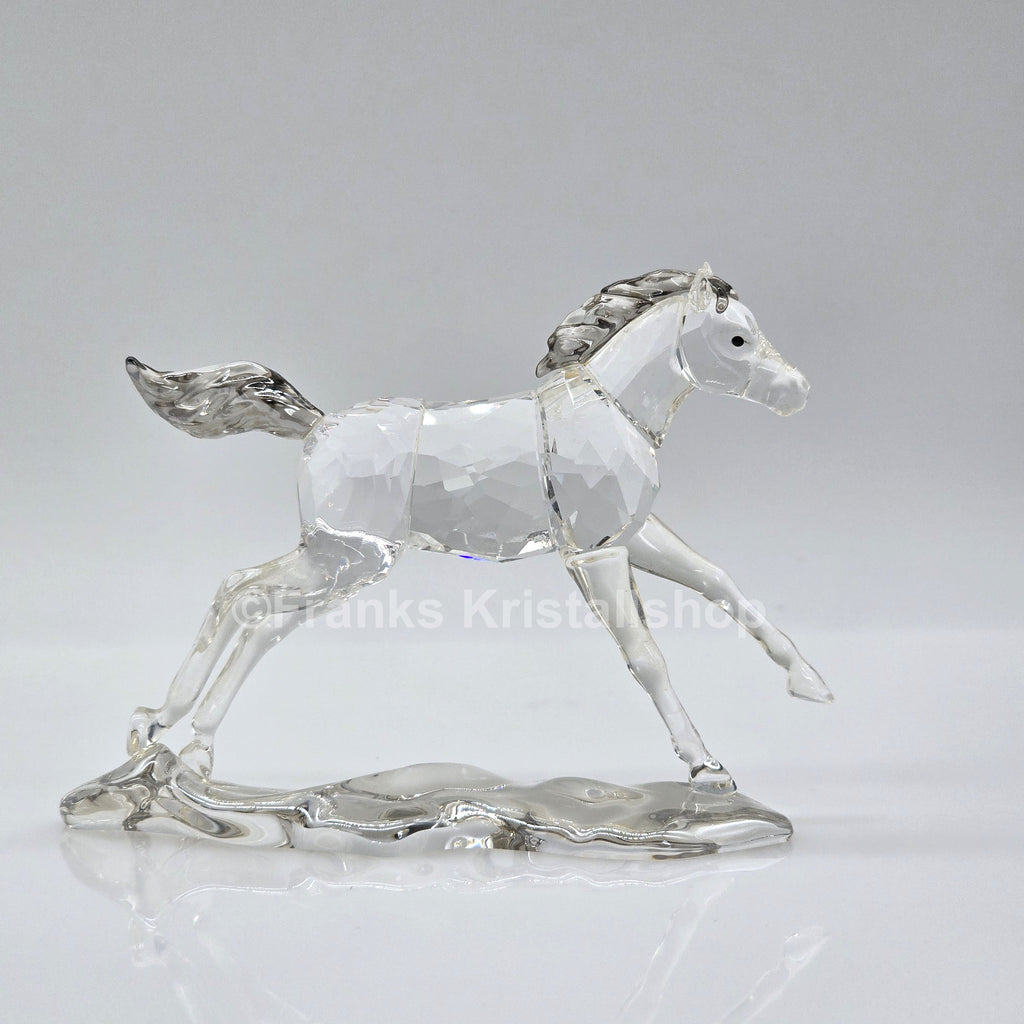 SWAROVSKI SCS Jahresfigur 2014 Esperanza Fohlen 5004729 oU