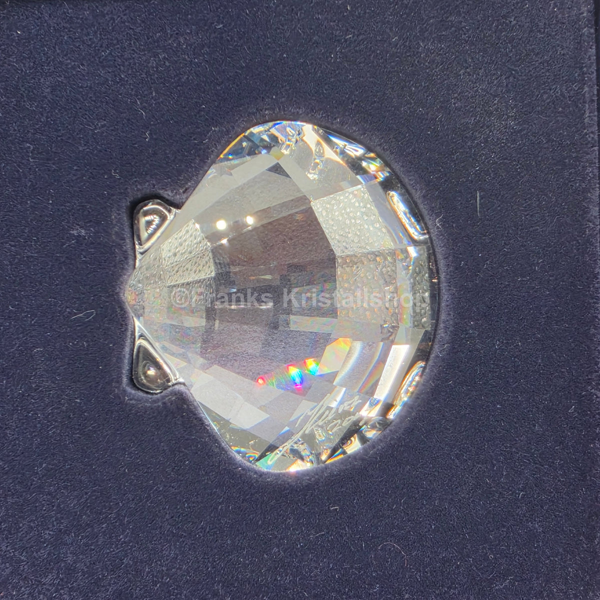 SWAROVSKI SCS Shell 833506