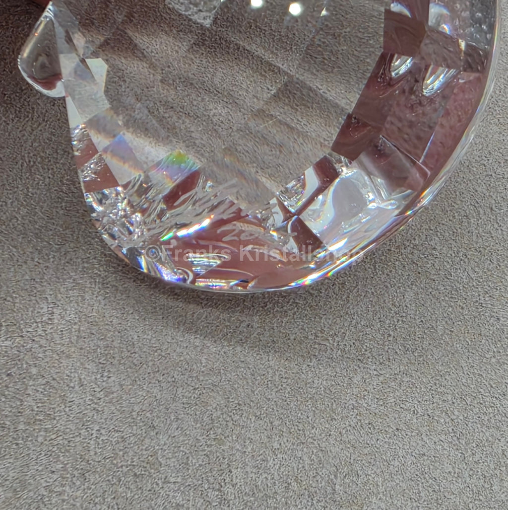 SWAROVSKI SCS Shell 833506