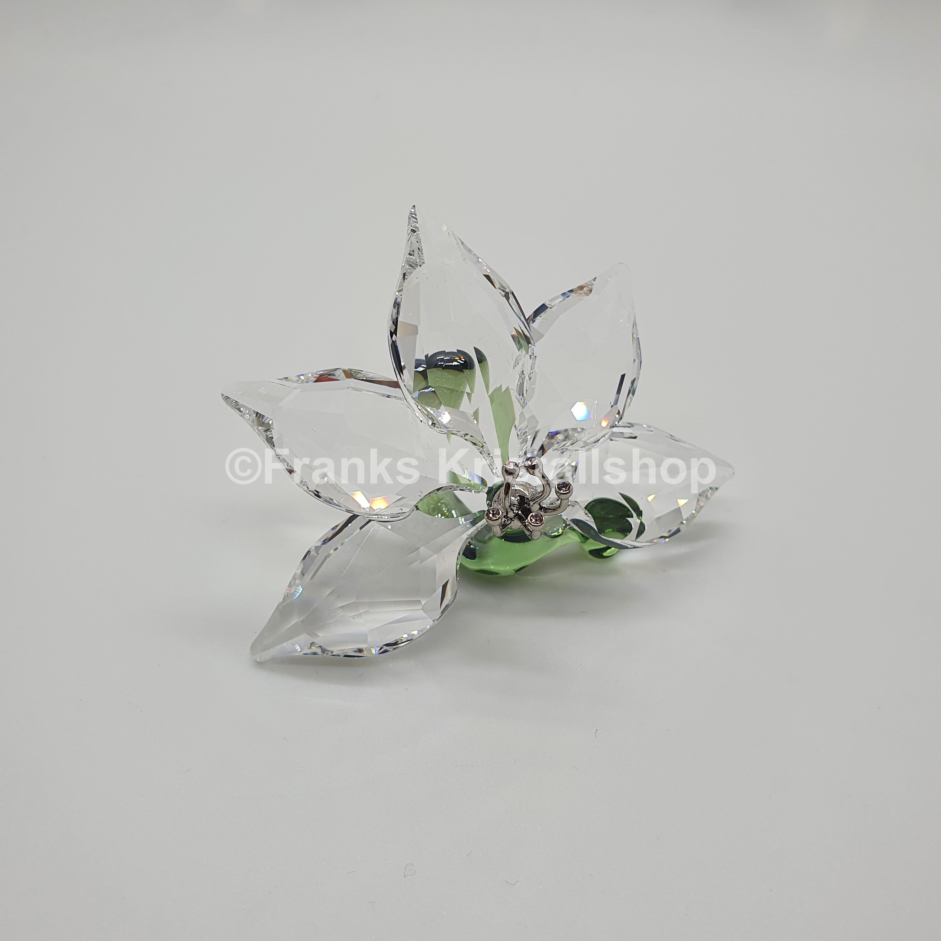 SWAROVSKI SCS Orchidee 2013 zur Jahresfigur Elefant Cinta 1142858