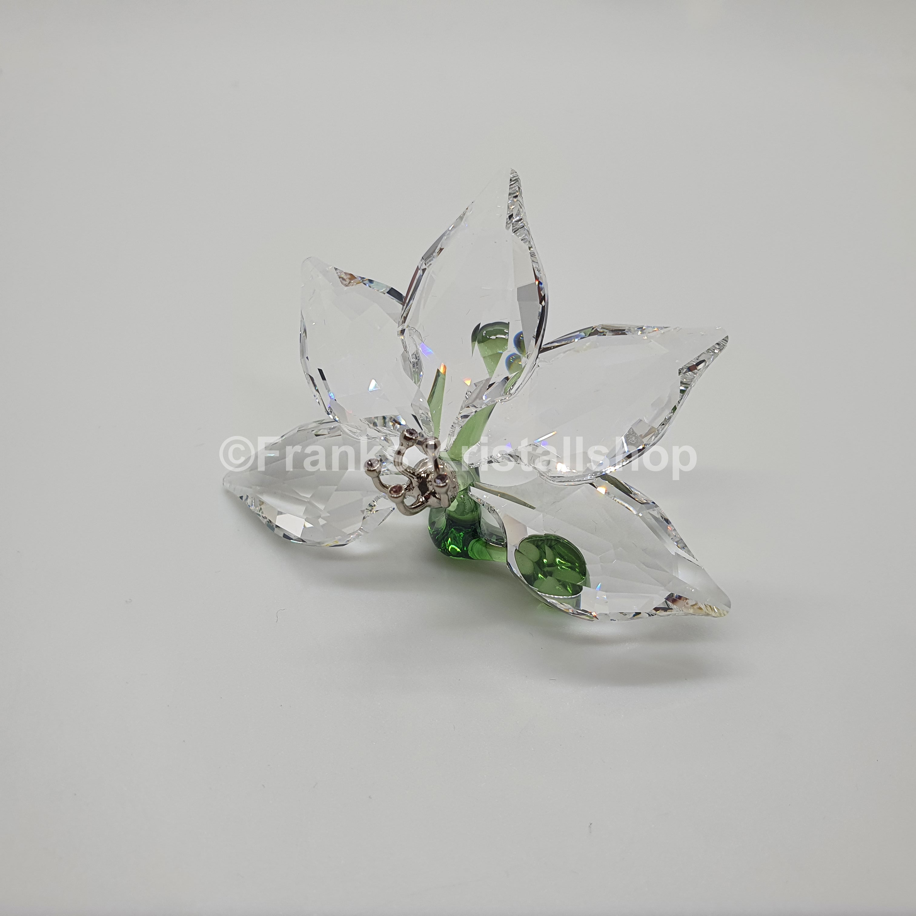 SWAROVSKI SCS Orchidee 2013 zur Jahresfigur Elefant Cinta 1142858