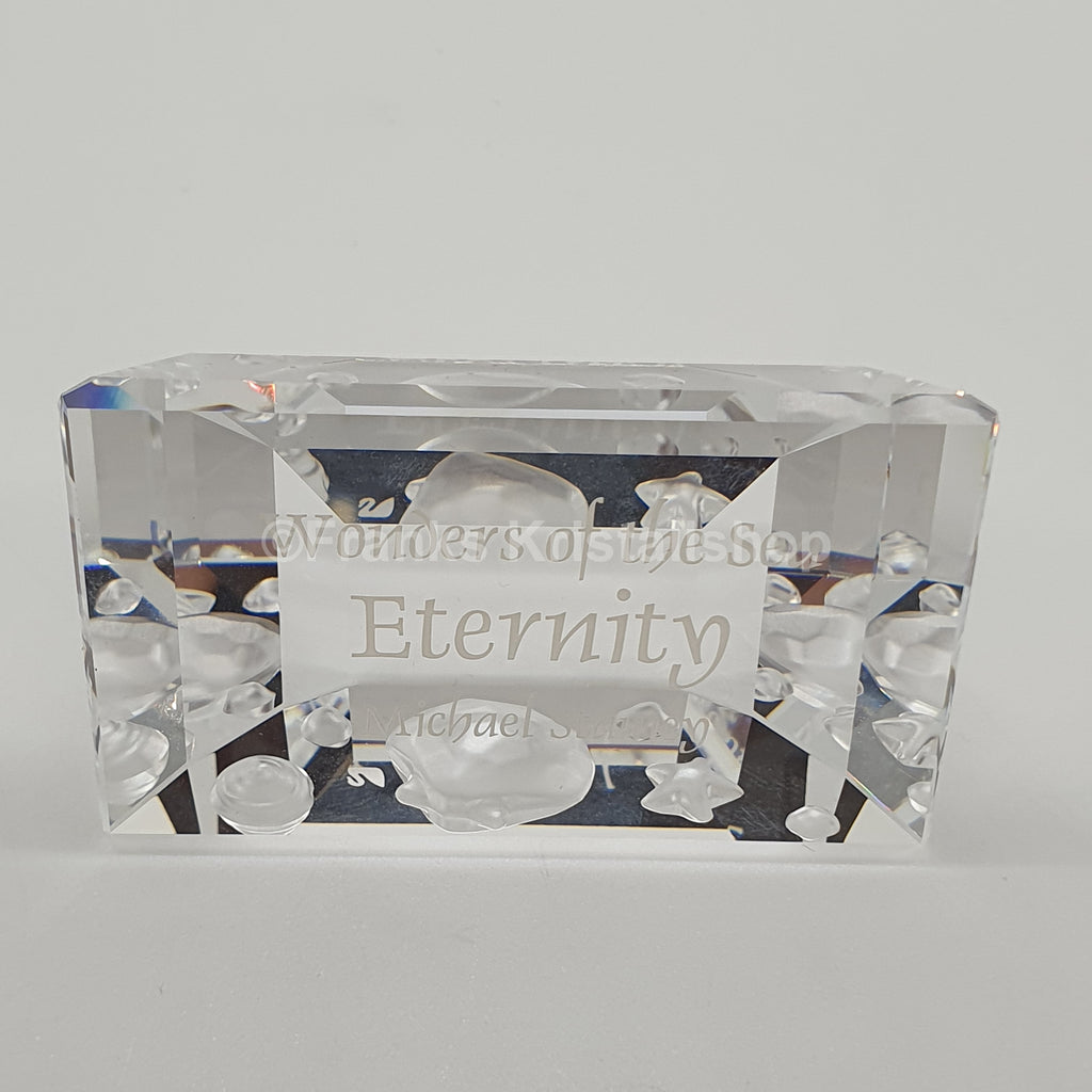 SWAROVSKI SCS Namensschild Eternity Wonders of the Sea 855626