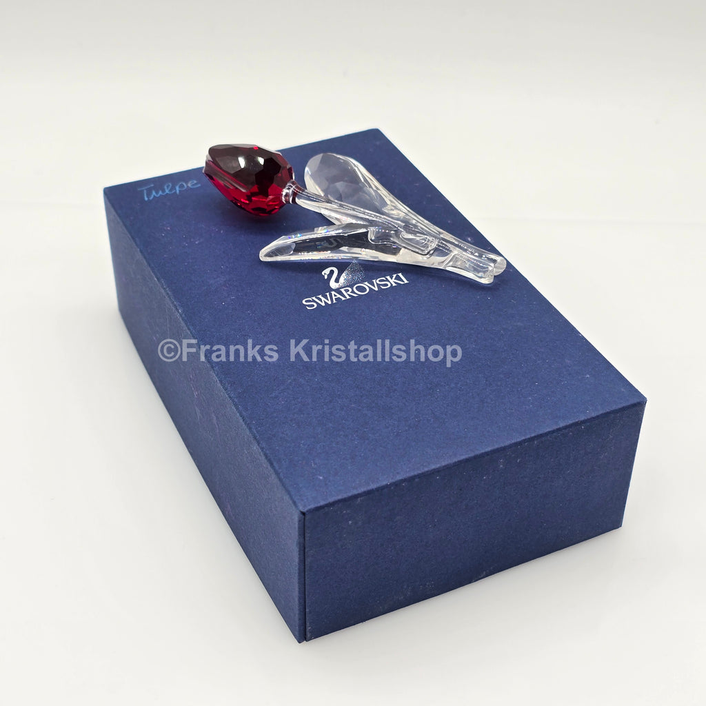 SWAROVSKI SCS Tulpe Rot 626481
