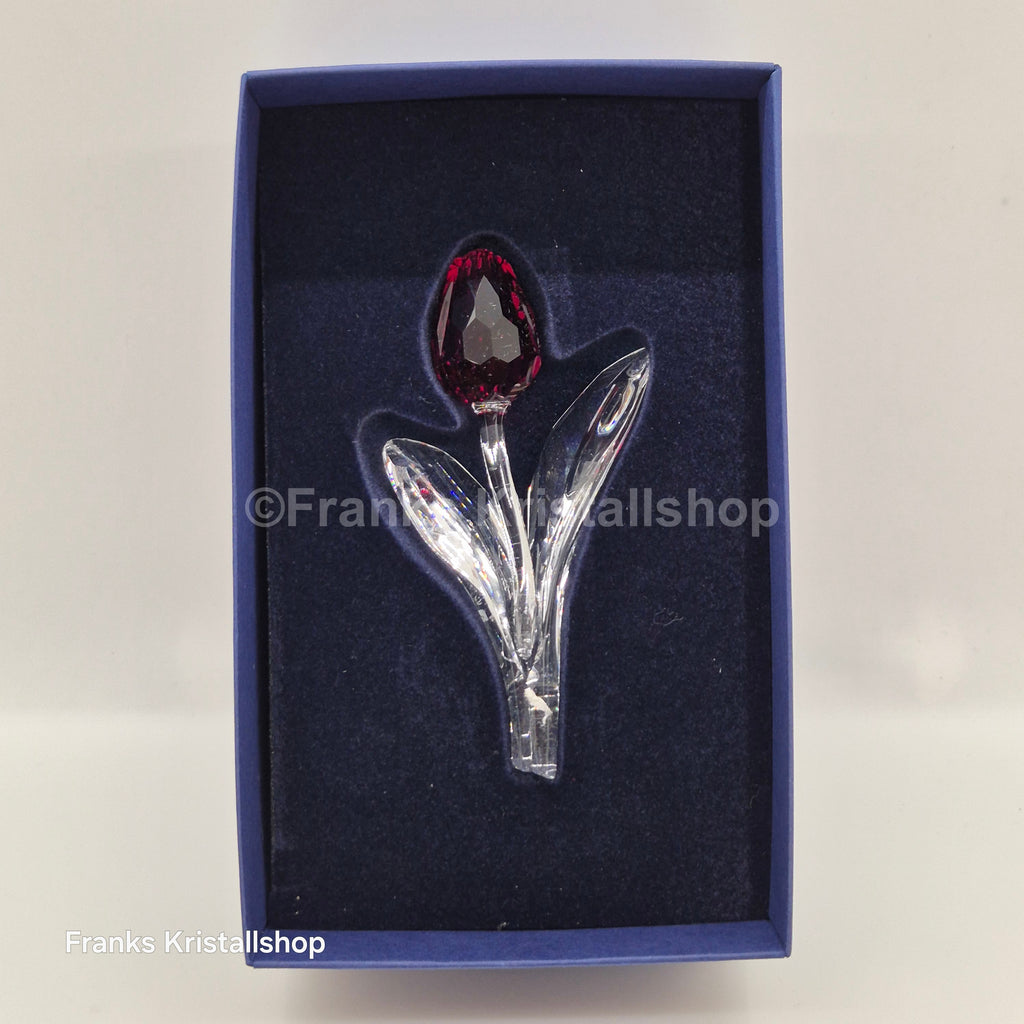 SWAROVSKI SCS Tulpe Rot 626481