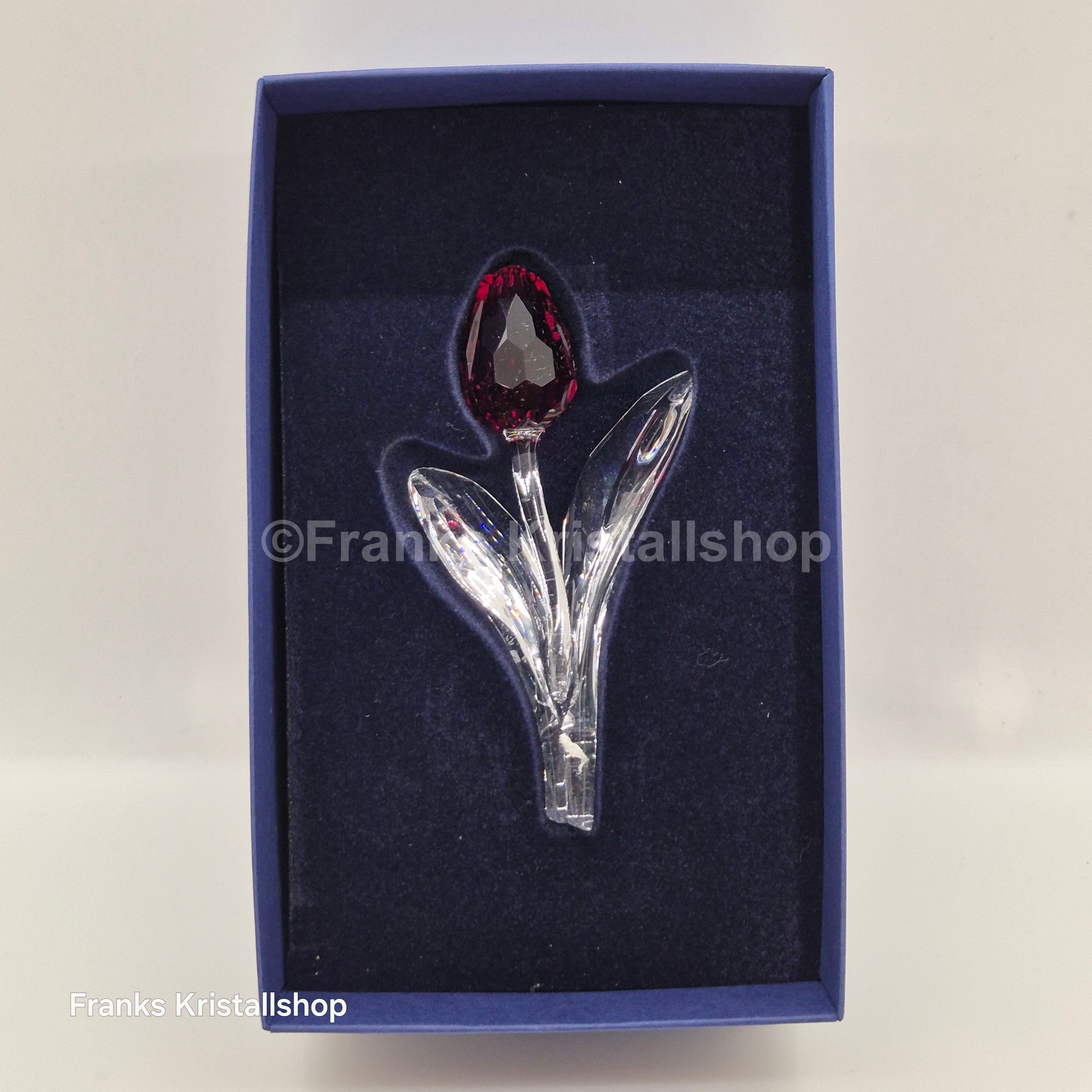 SWAROVSKI SCS Tulpe Rot 626481