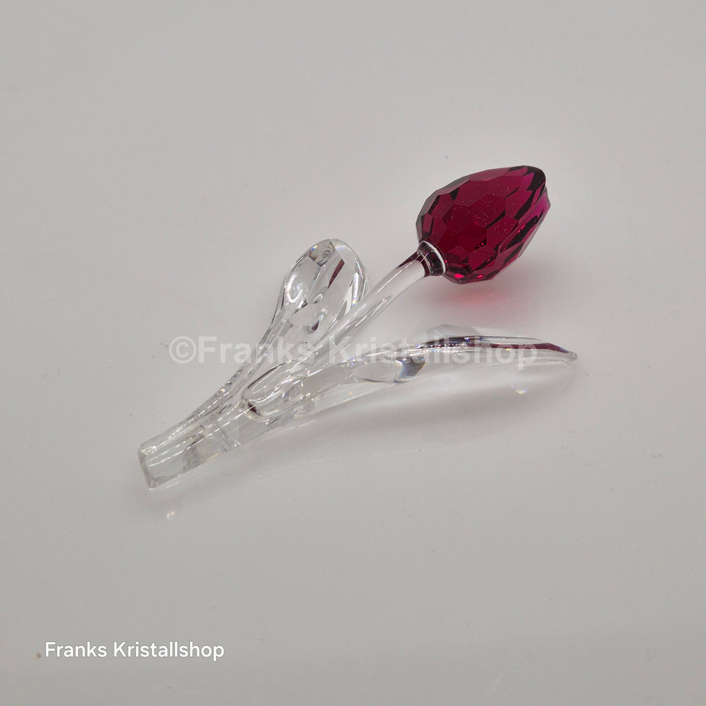 SWAROVSKI SCS Tulpe Rot 626481