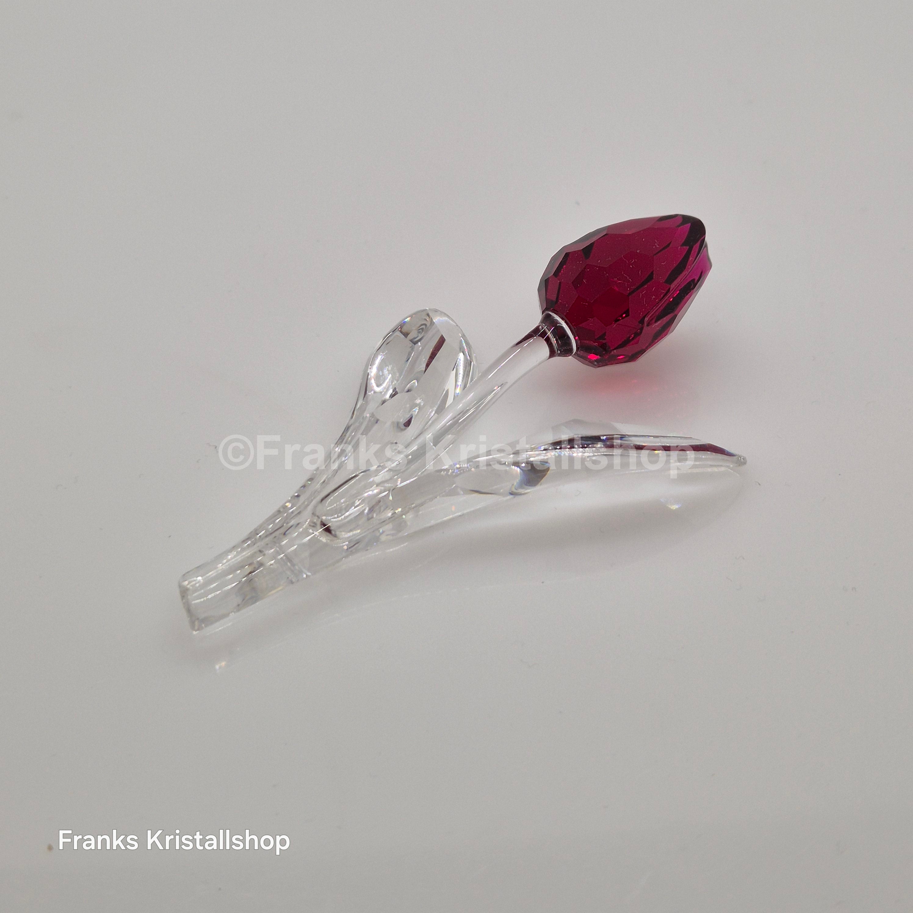 SWAROVSKI SCS Tulpe Rot 626481