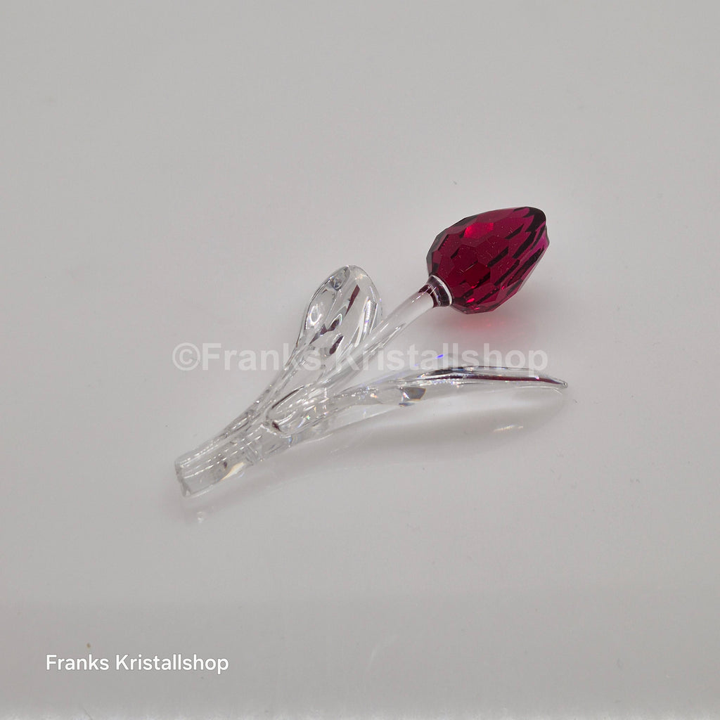 SWAROVSKI SCS Tulpe Rot 626481