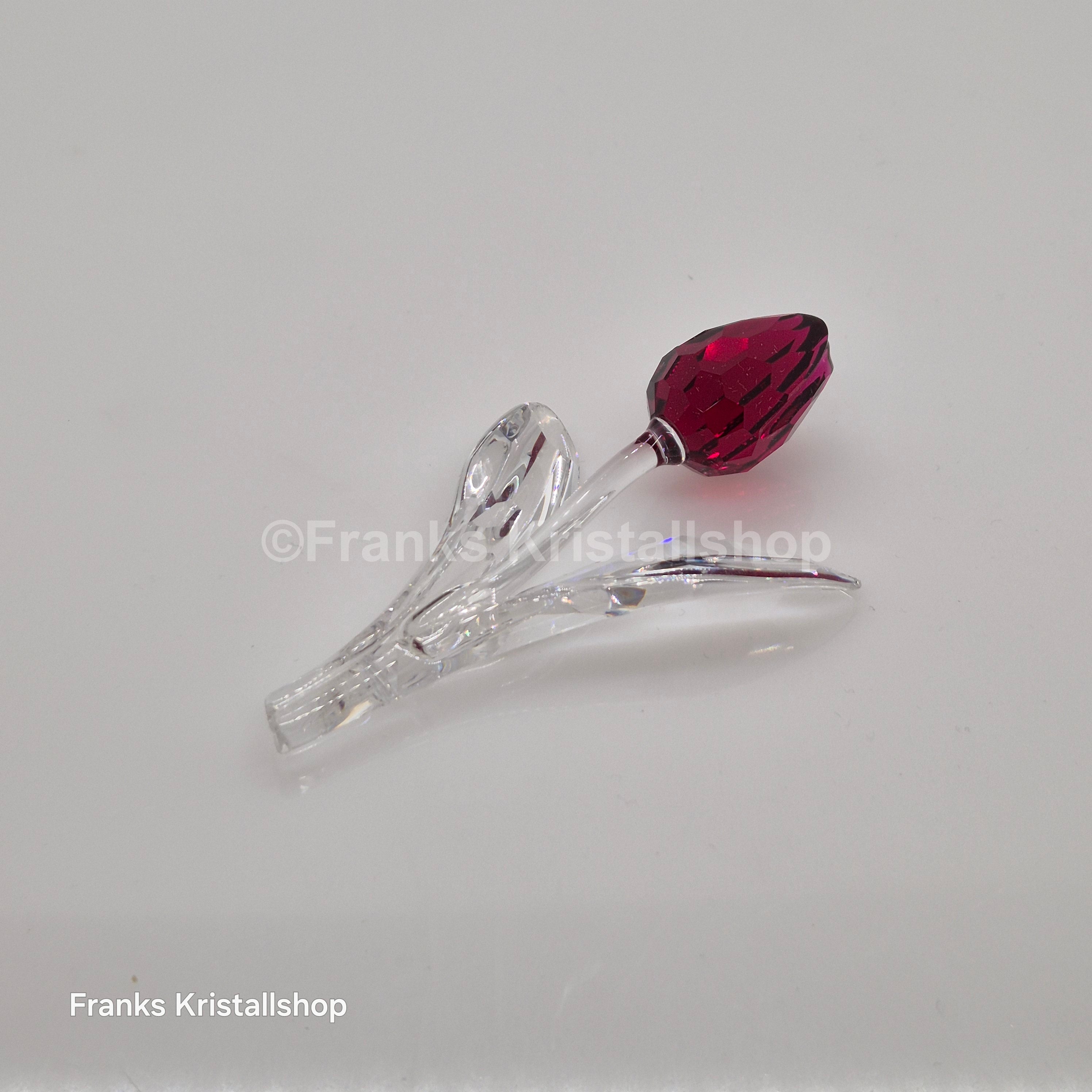 SWAROVSKI SCS Tulpe Rot 626481