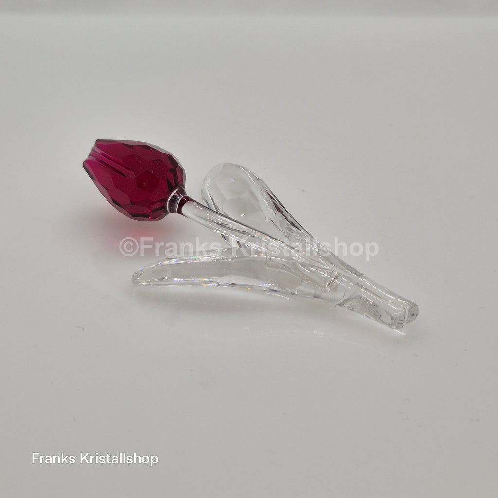 SWAROVSKI SCS Tulpe Rot 626481